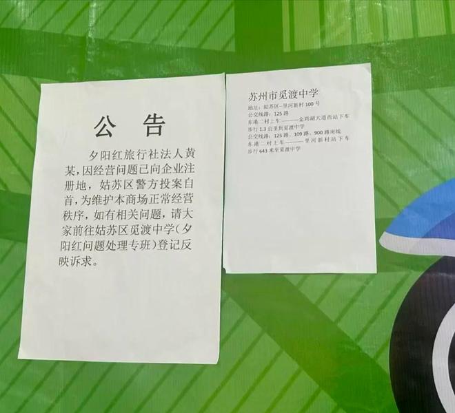 柯林斯称考特没法和小威比较，托尼预测今年是德约最后一个赛季