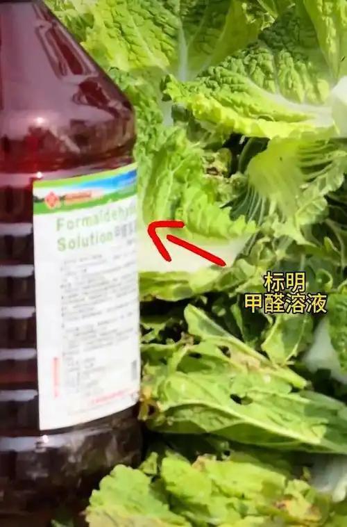 放弃继承260亿遗产，带女儿远走美国，如今才看清她多清醒